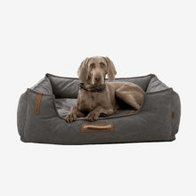 Carica l'immagine nel visualizzatore di Gallery, Be Nordic Dog Bed - Sofa - Grey