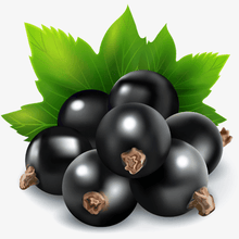 Load image into Gallery viewer, Berry clusters in realistic