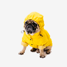 Carica l'immagine nel visualizzatore di Gallery, Thunder Shirt - Anxiety Wrap