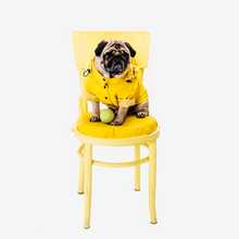 Carica l'immagine nel visualizzatore di Gallery, Thunder Shirt - Anxiety Wrap
