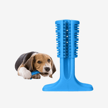 Load image into Gallery viewer, PetVogue Bouncy Rubber Bone Pet Chew Toys for Puppies