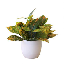Carica l'immagine nel visualizzatore di Gallery, Small Tree Pot Plants Fake Flowers Potted