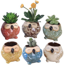Carica l'immagine nel visualizzatore di Gallery, Glaze Base Serial Set Succulent Cactus Plant