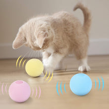 Load image into Gallery viewer, Training Toy Pet Playing Ball