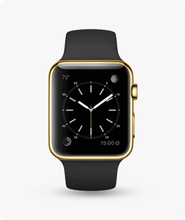 Load image into Gallery viewer, Speedo Watch Golden Fram