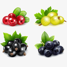 Carica l&#39;immagine nel visualizzatore di Gallery, Berry clusters in realistic
