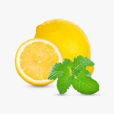 Lemon and lemon slices isolated