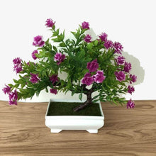 Carica l&#39;immagine nel visualizzatore di Gallery, Potted Plant Bonsai Wedding Party Garden
