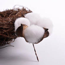 Load image into Gallery viewer, Naturally Dried Cotton Flowers Artificial Plants
