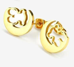 Earrings stainless steel jewelry earrings top high quality