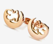 Laden Sie das Bild in den Galerie-Viewer.Earrings stainless steel jewelry earrings top high quality
