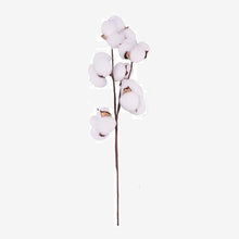 Load image into Gallery viewer, Naturally Dried Cotton Flowers Artificial Plants
