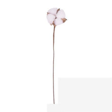 Load image into Gallery viewer, Naturally Dried Cotton Flowers Artificial Plants
