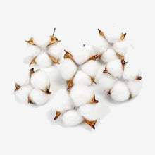 Load image into Gallery viewer, Naturally Dried Cotton Flowers Artificial Plants
