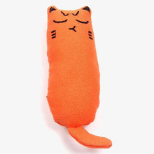 Carica l&#39;immagine nel visualizzatore di Gallery, Funny Interactive Plush Cat Toy
