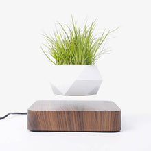 Laden Sie das Bild in den Galerie-Viewer.Levitating Air Bonsai Pot Rotation Flower Pot Planters

