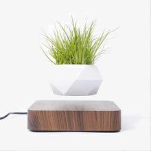 Laden Sie das Bild in den Galerie-Viewer.Levitating Air Bonsai Pot Rotation Flower Pot Planters
