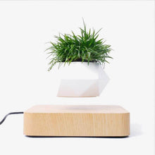 Laden Sie das Bild in den Galerie-Viewer.Levitating Air Bonsai Pot Rotation Flower Pot Planters
