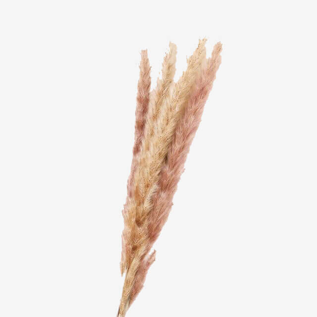 Grass Phragmites Artificial Plants Wedding