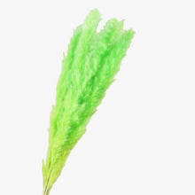 Load image into Gallery viewer, Grass Phragmites Artificial Plants Wedding
