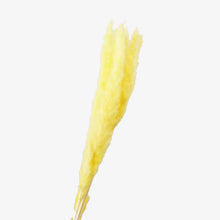 Load image into Gallery viewer, Grass Phragmites Artificial Plants Wedding
