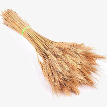 Load image into Gallery viewer, Grass Phragmites Artificial Plants Wedding
