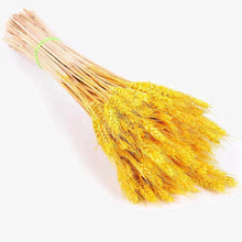 Load image into Gallery viewer, Grass Phragmites Artificial Plants Wedding
