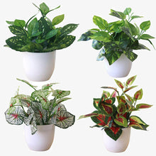 Carica l&#39;immagine nel visualizzatore di Gallery, Small Tree Pot Plants Fake Flowers Potted
