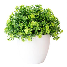 Carica l&#39;immagine nel visualizzatore di Gallery, Small Tree Pot Plants Fake Flowers Potted
