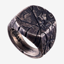 Load image into Gallery viewer, Ancient Ways Craze  Male Celibate Noble
