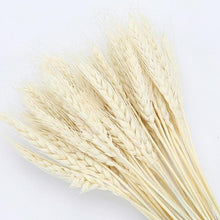 Laden Sie das Bild in den Galerie-Viewer.Natural Dried Flowers Wedding Party
