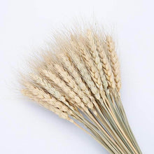 Laden Sie das Bild in den Galerie-Viewer.Natural Dried Flowers Wedding Party
