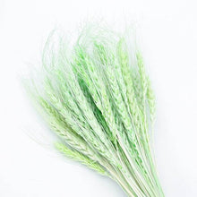 Laden Sie das Bild in den Galerie-Viewer.Natural Dried Flowers Wedding Party
