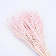 Laden Sie das Bild in den Galerie-Viewer.Natural Dried Flowers Wedding Party
