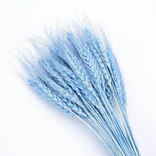 Laden Sie das Bild in den Galerie-Viewer.Natural Dried Flowers Wedding Party
