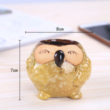 Carica l&#39;immagine nel visualizzatore di Gallery, Glaze Base Serial Set Succulent Cactus Plant
