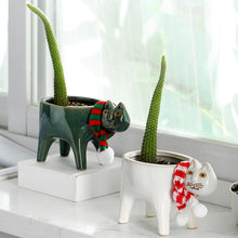 Carica l&#39;immagine nel visualizzatore di Gallery, Vase Personality Creative Cactus Succulent Plant
