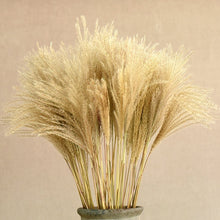 Load image into Gallery viewer, Grass Phragmites Artificial Plants Wedding
