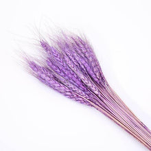 Laden Sie das Bild in den Galerie-Viewer.Natural Dried Flowers Wedding Party
