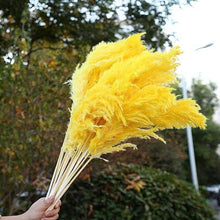 Laden Sie das Bild in den Galerie-Viewer.Natural Dried Flowers Wedding Party
