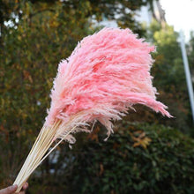 Laden Sie das Bild in den Galerie-Viewer.Natural Dried Flowers Wedding Party
