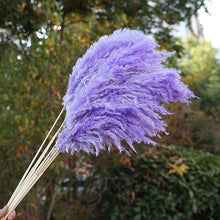 Laden Sie das Bild in den Galerie-Viewer.Natural Dried Flowers Wedding Party
