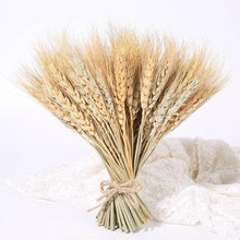 Laden Sie das Bild in den Galerie-Viewer.Natural Dried Flowers Wedding Party
