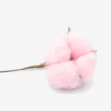 Load image into Gallery viewer, Naturally Dried Cotton Flowers Artificial Plants
