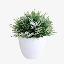 Load image into Gallery viewer, Simulation Plastic Small Tree Pot Plant
