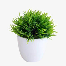 Load image into Gallery viewer, Simulation Plastic Small Tree Pot Plant
