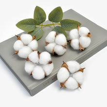 Load image into Gallery viewer, head 5cm natural kapok head dried flower
