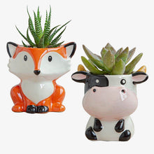 Charger l&#39;image dans la galerie, Animal Pot Ceramic Succulent Plant Pot
