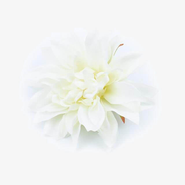 Heads Flower Wall Wedding Car Home