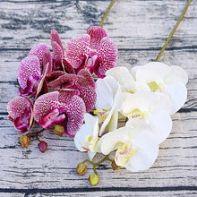 Load image into Gallery viewer, Orchid Vases for Home Decor Wedding
